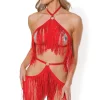 Fringe Benefits Fringe Top & Skirt Harness Set