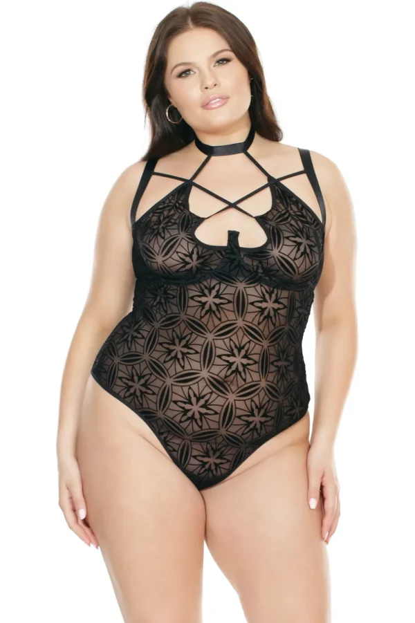 Interlaced Teddy