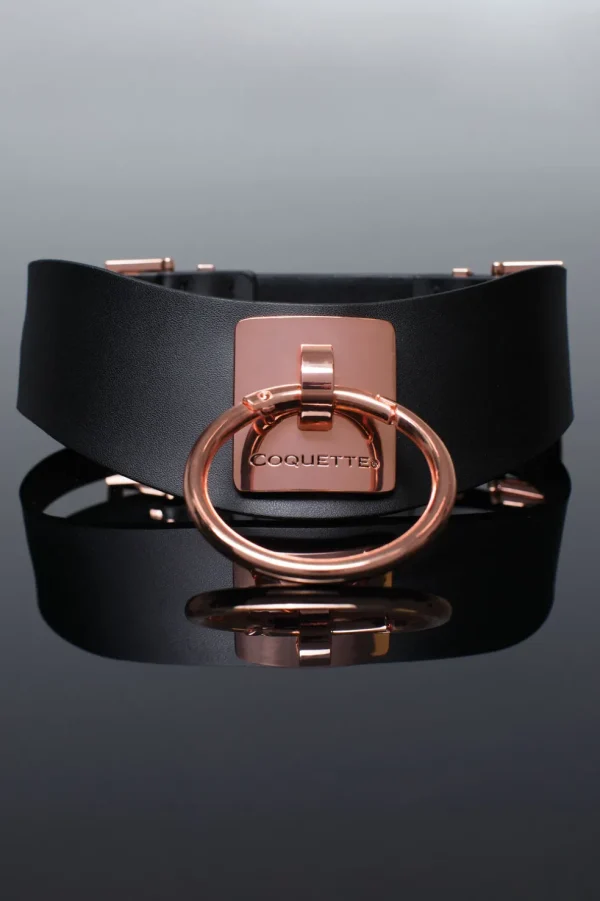 Vegan Leather Collar