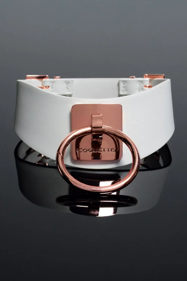 Vegan Leather Collar